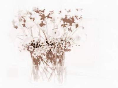 沙坪坝有水平的風水哪个