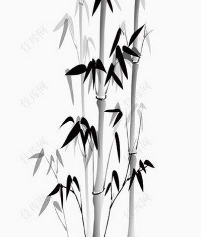 江北有名气的算命师傅哪个看得准