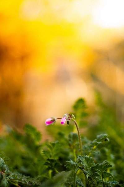 九龙坡風水师谁更出名