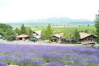 2021年家居风水摆设_五月花房