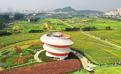 九龙坡本地著名的風水先生哪个有名些