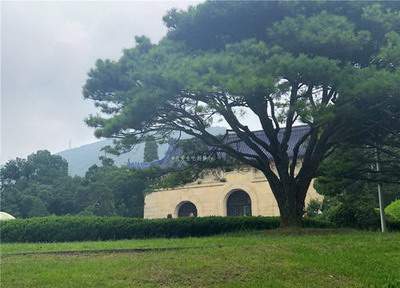 沙坪坝风水先生算家居风水收费行情