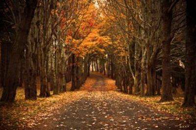巫山出名風水策划大師哪个更厉害