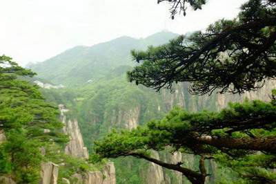 城口本地著名的命理大师哪个算命最厉害