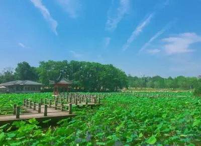 新婚浴室的装修風水_华大厦