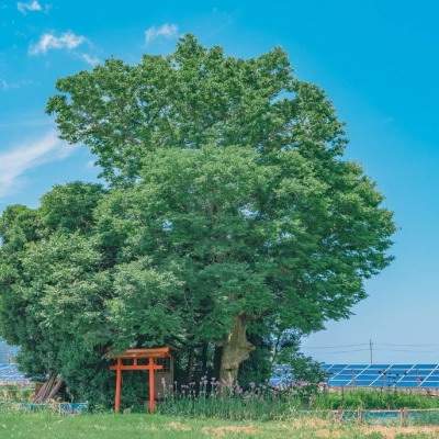 买房子用看風水吗_万科天空之城