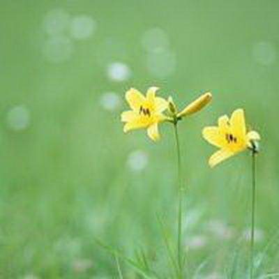 城口本地易学風水大師谁更出名