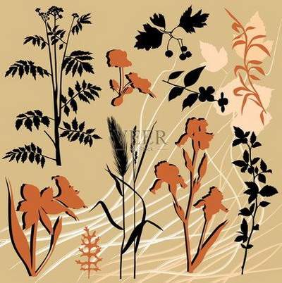 垫江本地著名的風水堪舆大師哪个最厉害