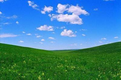 武隆厉害的八字命理大师谁口碑最好