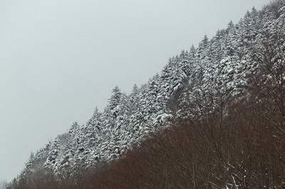卧室不能放的东西风水_北麓国际城