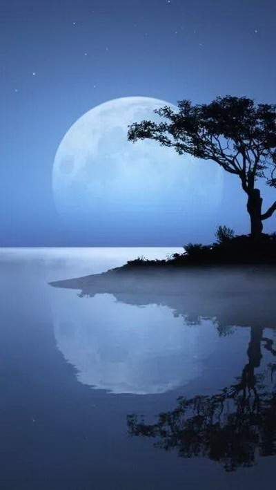 秀山出名風水大師哪个看得准些