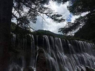 阳台养什么風水植物好|陆淼淼（叁荷）|