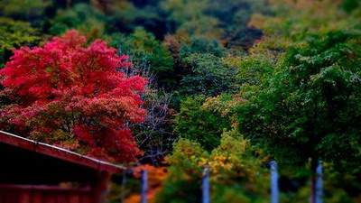 酉阳周易風水师谁讲得准