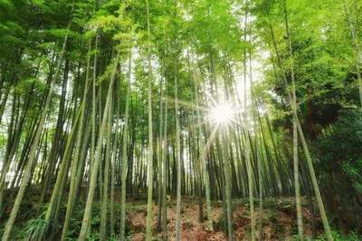 跃层卫生间布局風水