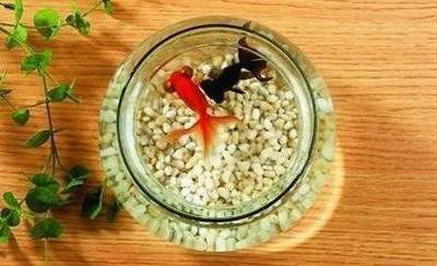 百安坝街道哪个风水师看饭馆风水看得准些【陆淼淼（叁荷）风水师】