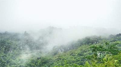 家中养鱼如何选择的鱼缸摆放風水方位？_新城春山拾鸣