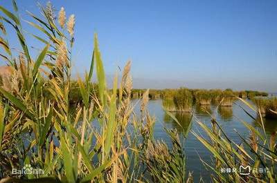 奉节本地著名的風水调理老师哪个有名气