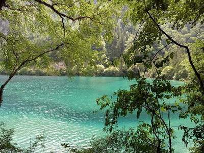 忠县有名气的風水调理老师哪个出名