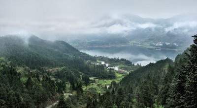 垫江哪里找看汽车4S店的风水大师