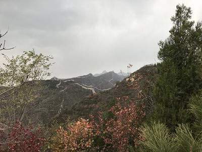 武隆好的八字算命先生哪个