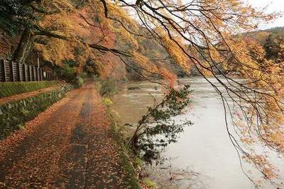 奉节本地阳宅風水大師谁最厉害
