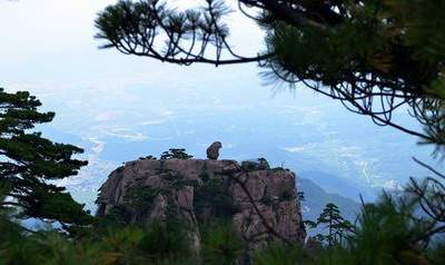 公司大门颜色与风水禁忌_春城斓山