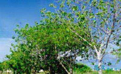 彭水比较有名的易经风水大师哪个最好