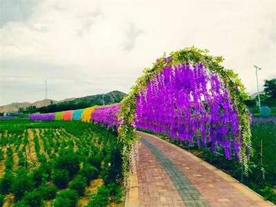 綦江好的風水师傅哪个口碑要好些