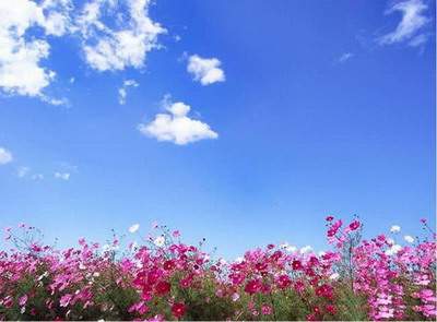 有横财房子的风水特点