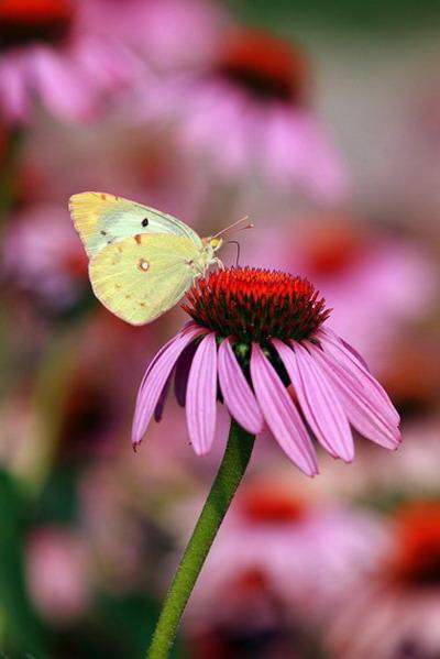 破财風水如何化解