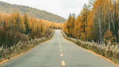 合川哪个能看中考的周易風水师