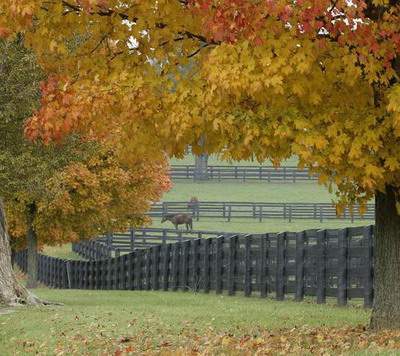永川哪里找看汽车修理店的風水先生