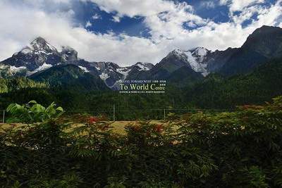 长寿哪里找得到看洗浴中心的风水命理大师