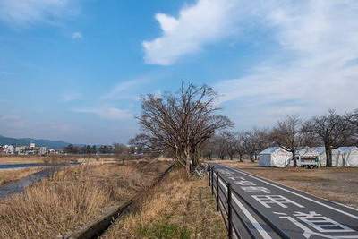 丛林镇哪个易学风水大师看农村建房风水最好_乾缘堂易经风水