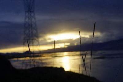 鱼缸摆放位置風水图客厅