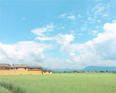 办公桌放什么增强气场_紫荆小居