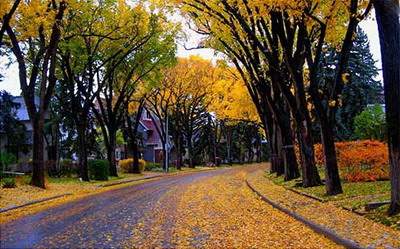 涪陵哪里找看度假村的風水