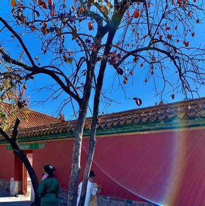 卫生间镜子对着卫生间门怎么化解_华侨城云麓台