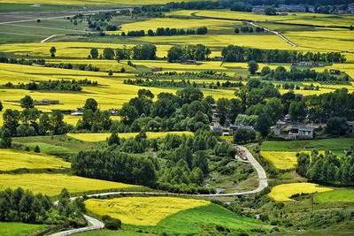 万州看風水哪个出名