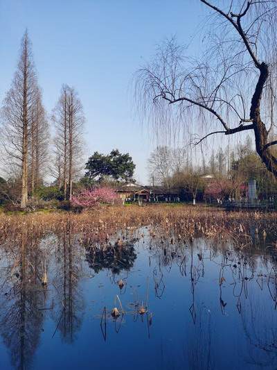 合川有名的算命大师谁更出名