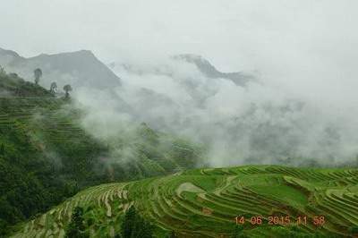 合川哪个能看奶茶店的風水老师