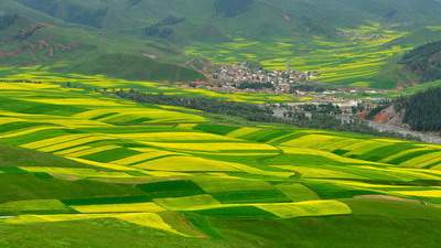 风水师乾缘堂易学老师：五种房子越住越穷