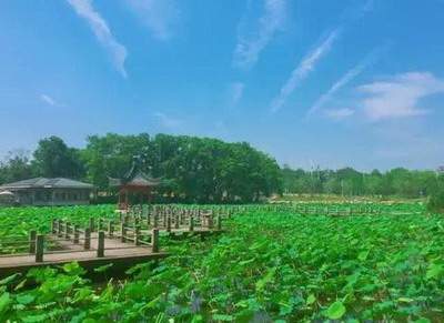 涪陵哪里找阳宅風水大師