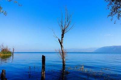 黔江出名風水师傅哪个算命最厉害