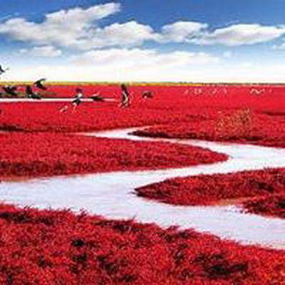 合川出名的八字命理大師哪个更出名