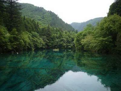 租房子大忌_上诚佳苑