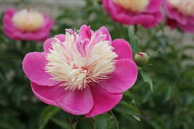 黔江哪里找看建房子的堪舆大師