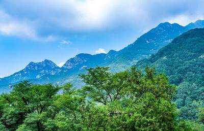 招财位布置的6大禁忌_北城绿景