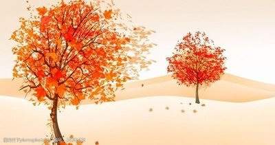 南岸本地命理风水师哪个最有名