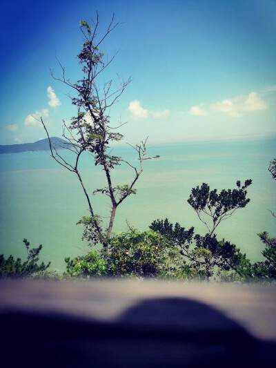 南岸专业風水玄学大師谁最厉害